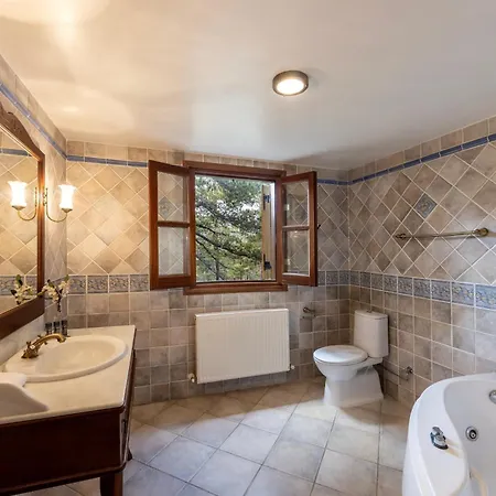Troodos Mature Pine Villa Pedhoulas