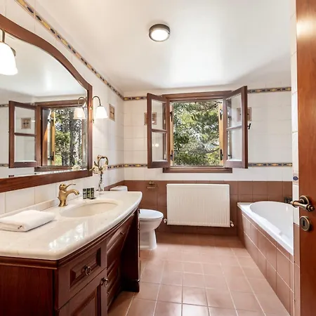Villa Troodos Mature Pine *