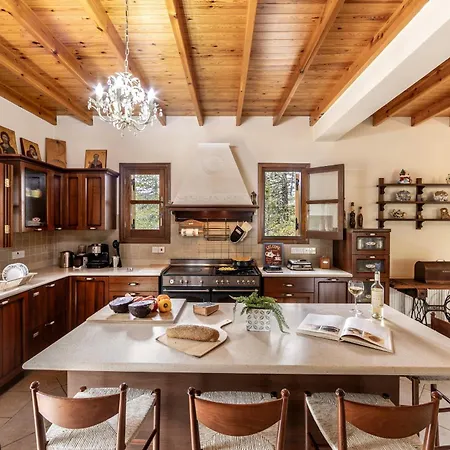 וילה Troodos Mature Pine