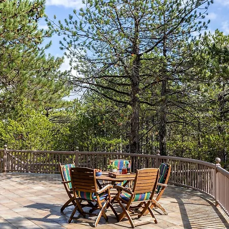 Troodos Mature Pine *