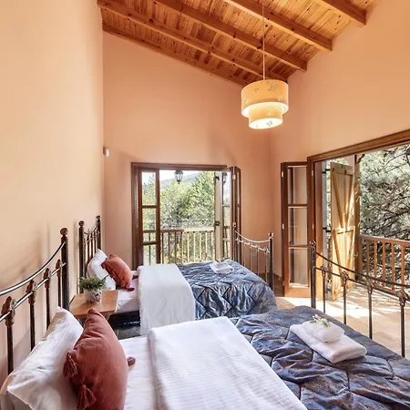 Troodos Mature Pine * Pedhoulas