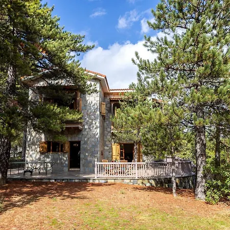 Troodos Mature Pine *