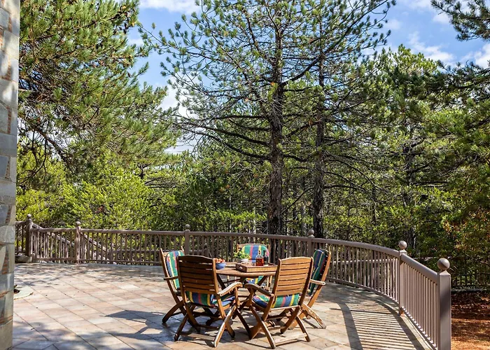 Troodos Mature Pine *