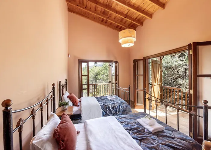 Troodos Mature Pine * Pedhoulas