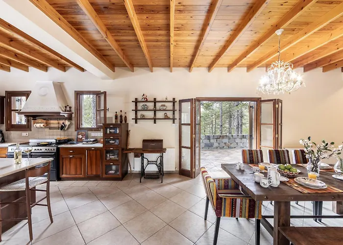 Troodos Mature Pine Villa Pedhoulas