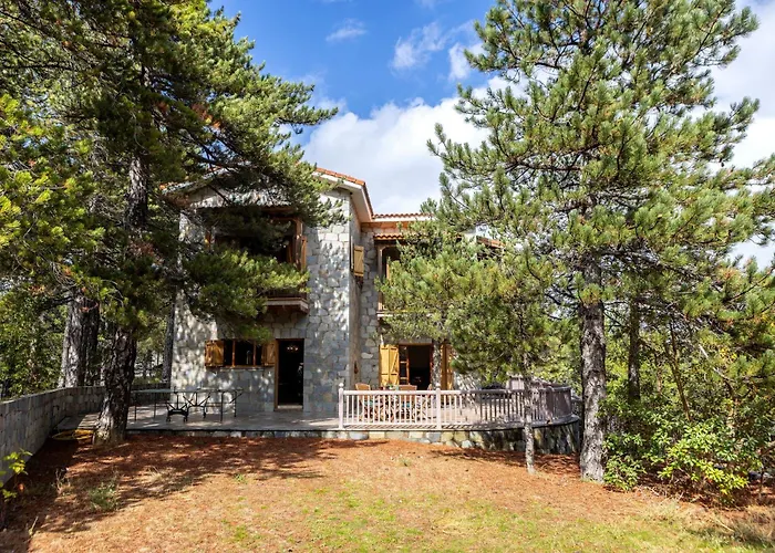 Troodos Mature Pine *